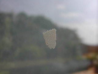 e0075686_11131668.jpg