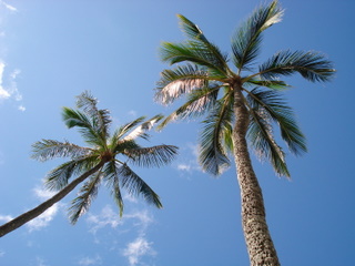 c0121289_8444255.jpg
