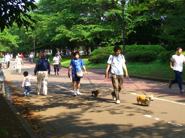 d0067192_2022658.jpg
