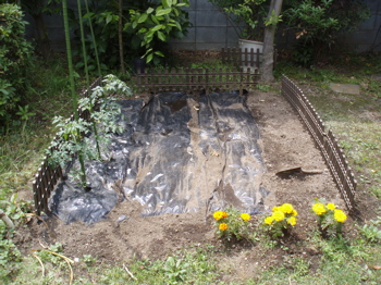 f0130894_21364143.jpg