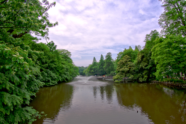 a0049195_234441.jpg