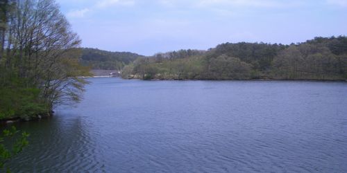 d0069498_17185051.jpg