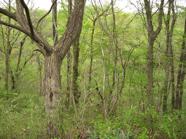f0108399_10325491.jpg