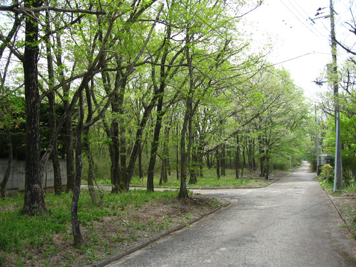 f0108399_10523841.jpg