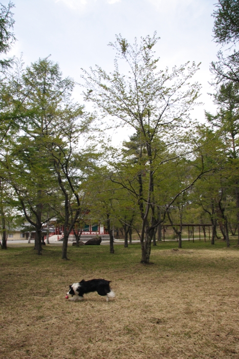 f0034602_19472656.jpg