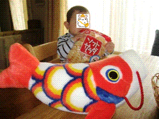 c0017505_13511868.gif