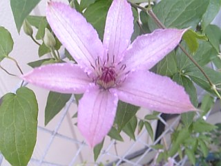 e0098908_2148404.jpg