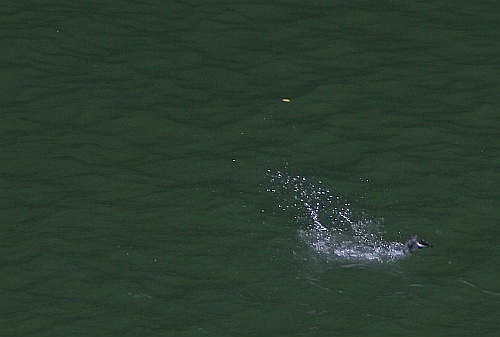 b0003512_20152472.jpg