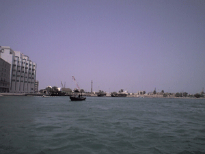 d0038319_14171234.gif