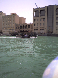 d0038319_14172131.gif