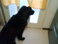 c0012120_0223290.jpg