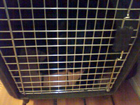 c0012120_0254897.jpg
