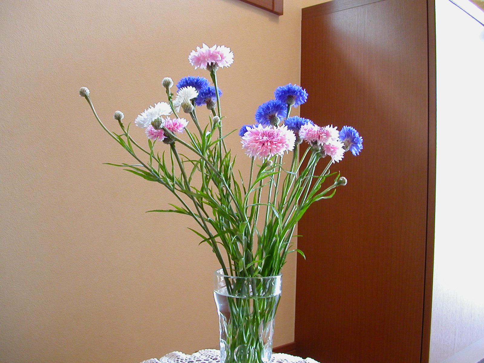 e0033229_21511994.jpg