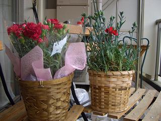 f0107145_20255917.jpg