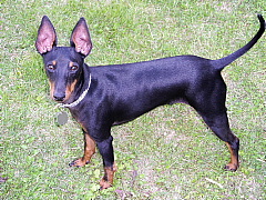 c0123149_23184137.jpg