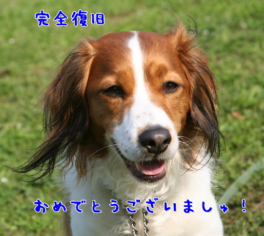 d0013149_018537.jpg