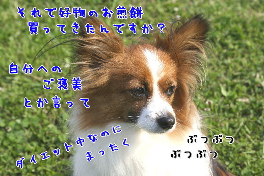 d0013149_0212793.jpg