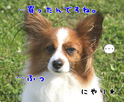 d0013149_0214492.jpg