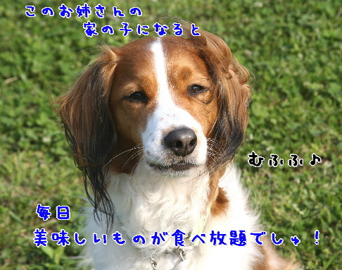 d0013149_0231842.jpg