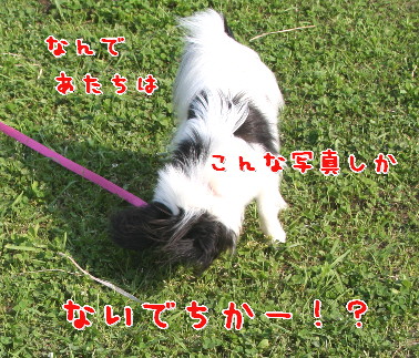 d0013149_0273322.jpg