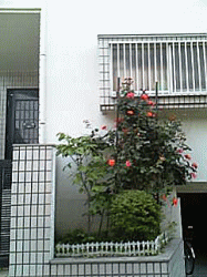 c0025852_9434581.gif