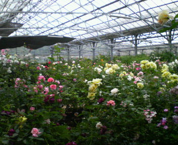 f0076952_20103397.jpg