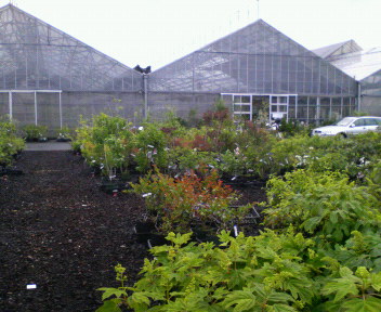 f0076952_2092830.jpg
