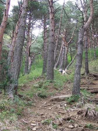 c0097558_9183040.jpg