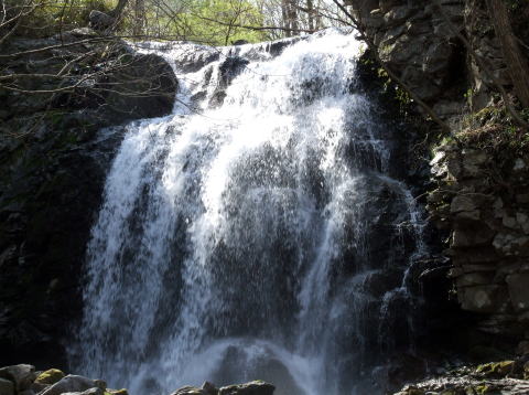 e0088260_6193620.jpg