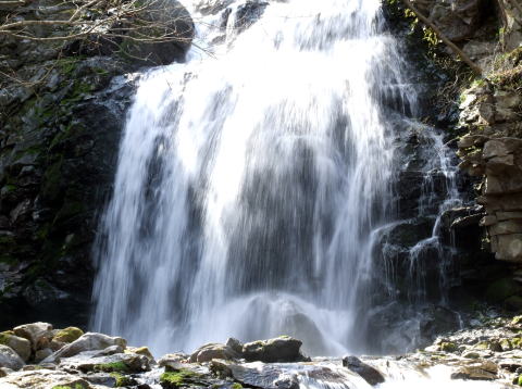 e0088260_621911.jpg