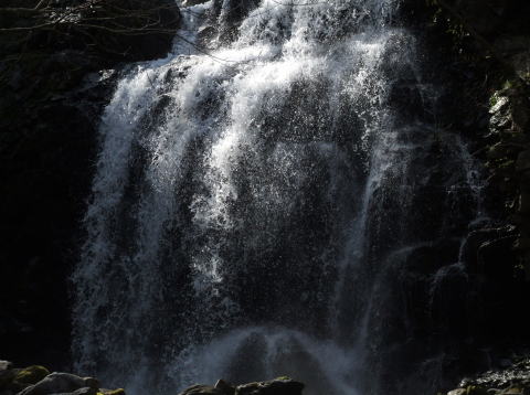 e0088260_6222985.jpg