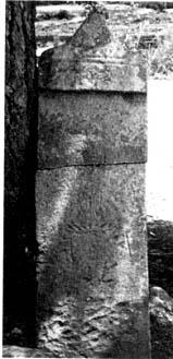 e0018762_99225.jpg