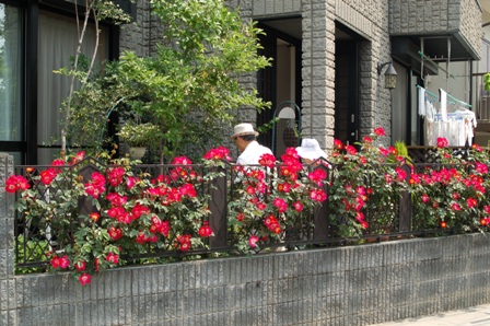 f0065768_173521.jpg