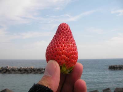 c0122670_2232142.jpg