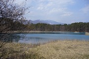 f0059671_034562.jpg
