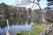 f0059671_041489.jpg
