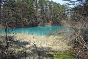 f0059671_04293.jpg