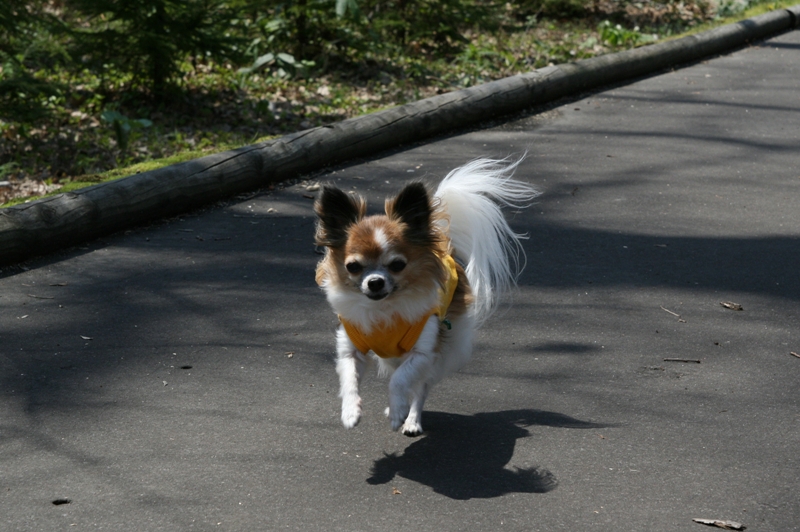a0016775_22181036.jpg