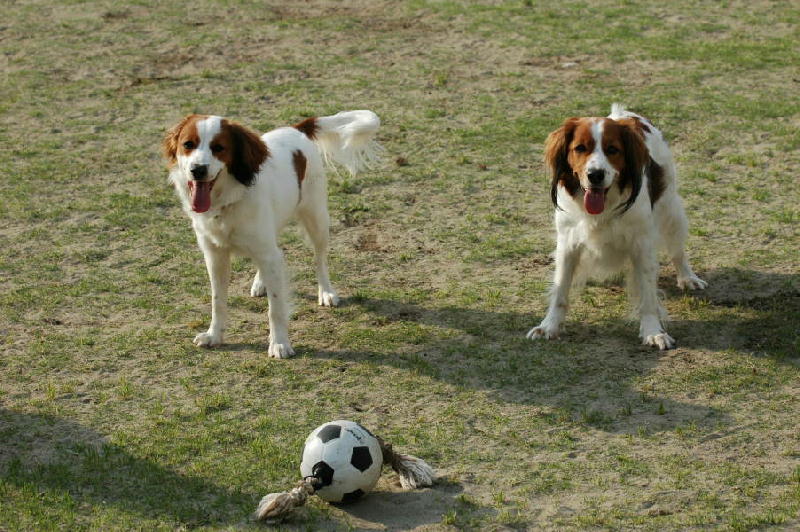 c0075585_14371178.jpg
