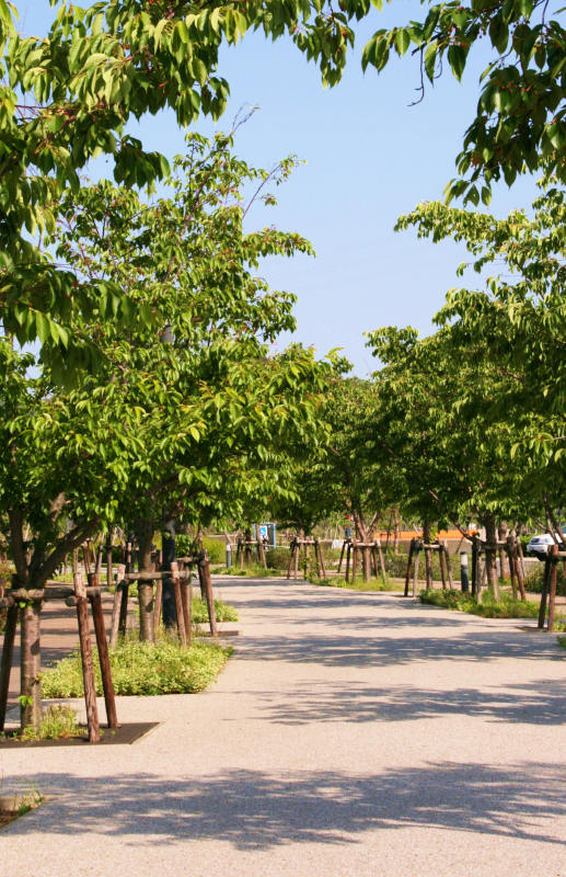 a0082787_223338.jpg