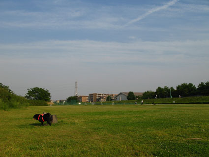 d0055690_19424830.jpg