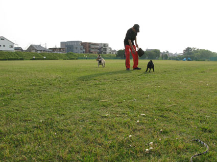 d0055690_19461740.jpg