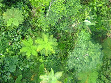c0004193_23473188.jpg