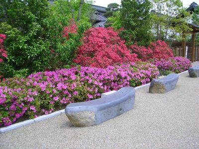 d0069498_1845516.jpg