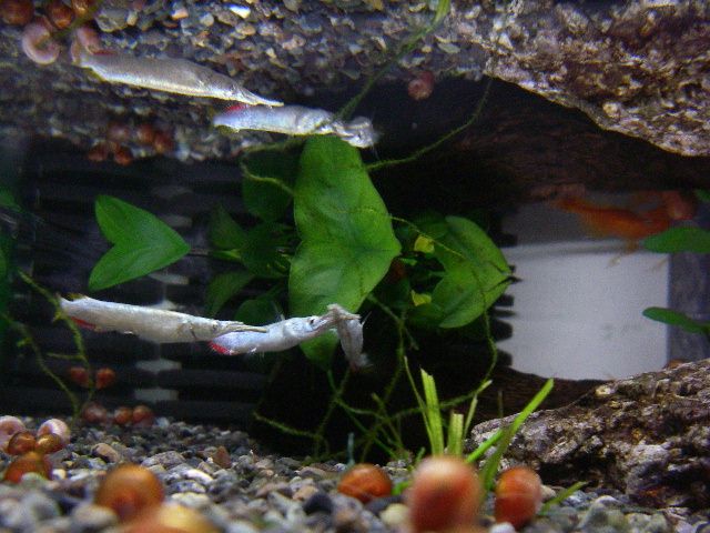 e0010301_16434935.jpg