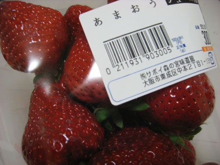 a0087302_23133489.jpg