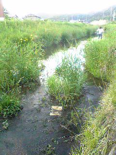 f0034007_23334652.jpg