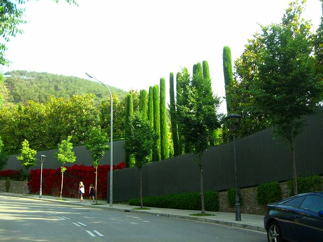 b0064411_6462612.jpg