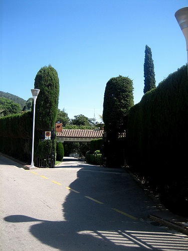 b0064411_6532266.jpg