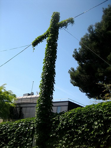 b0064411_6575542.jpg